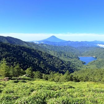 ついつい撮ってしまう
ほとんど同じ構図なのに