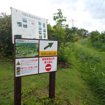 リゾート施設の先にある登山口より。