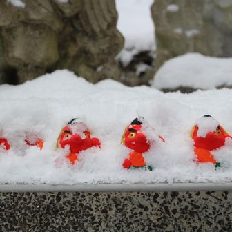 雪風呂につかる天狗さん