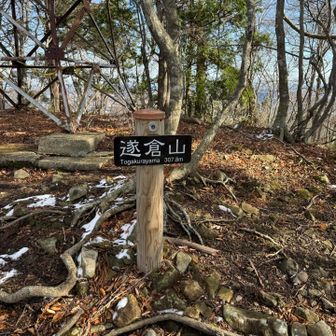程なくして遂倉山
他は直登なのに、ここは九十九折で比較的登りやすいです