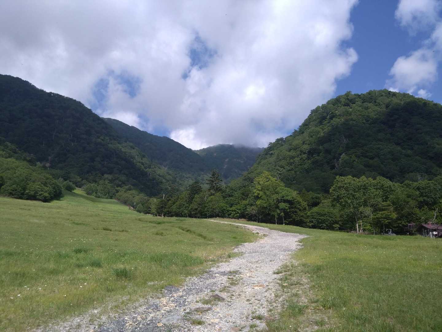 陽射しが暑い🥵