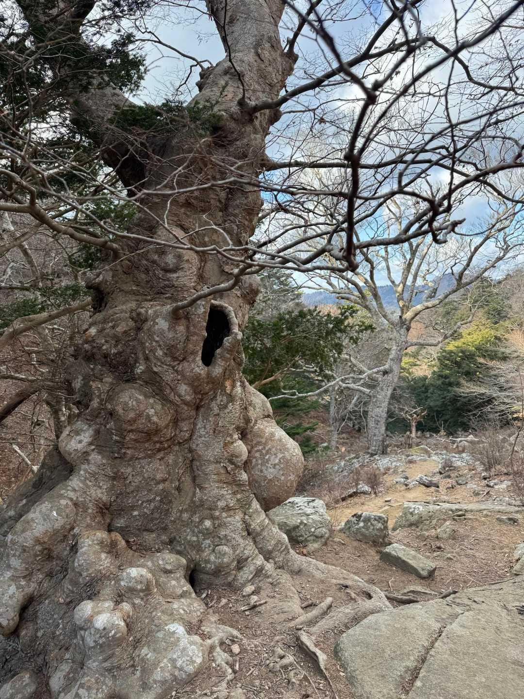ボコボコしてる