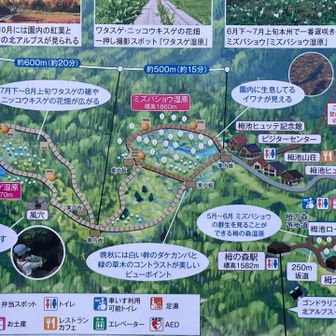 風穴くらい見ていこうか。