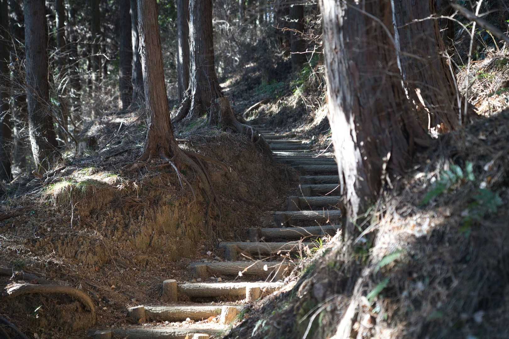 結果からいうと、全体的に緩やかなコースだったので、最後まで安心して登れました😄