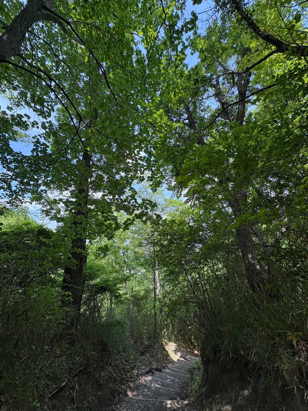 客坊大橋登山口 周回コースの写真