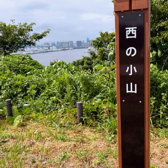 西の小山
ピーク①
