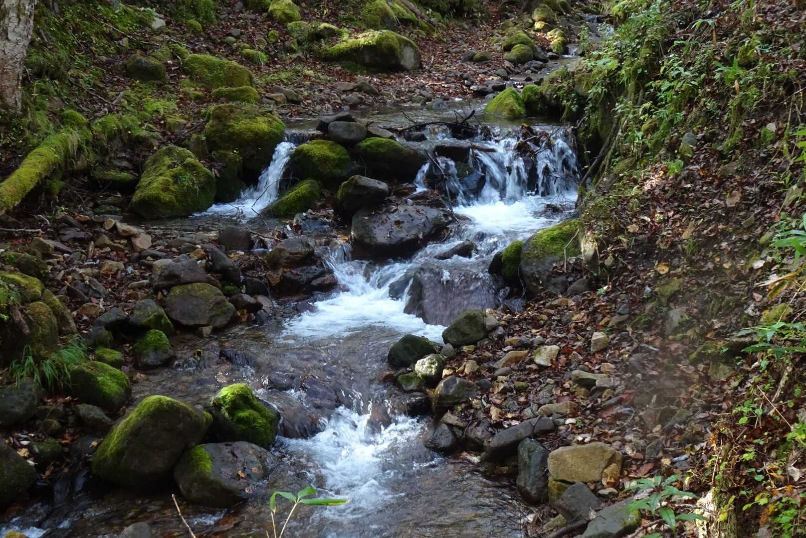 沢も撮ります。