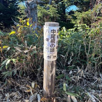 ここまでの登り返しつらい！