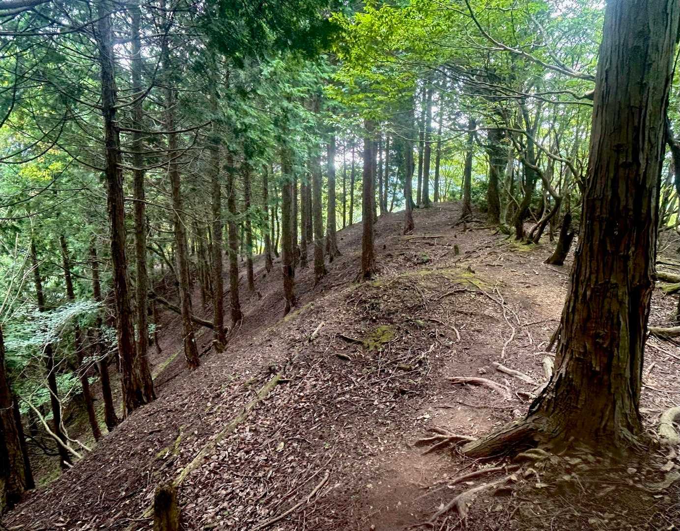 あぁ〜涼しぃぃ🎐👣