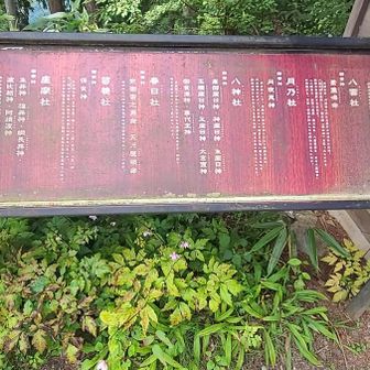 八体の御社が祀られていますが
この案内板の下🌸↓↓↓