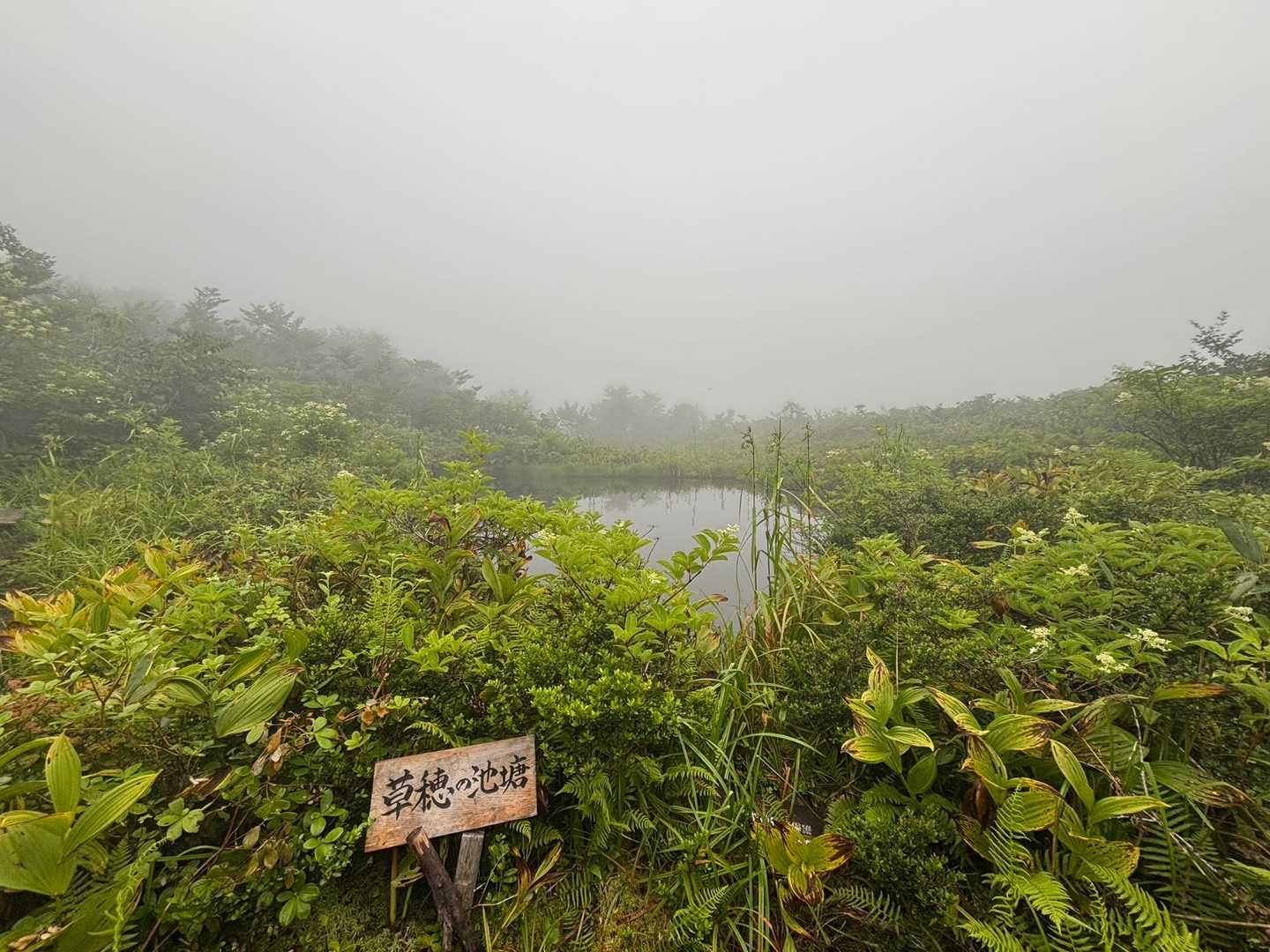 見所がちょこちょこあります🌫️