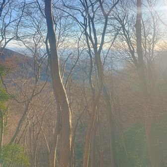 煙が一筋見えたので撮影したはずが…