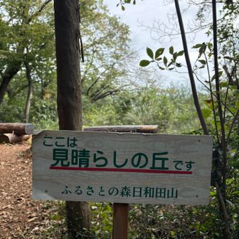 見晴らしの丘の表記に誘われて脇道から行ったらなかなかの悪路。そして男坂で行っても同じだったかも？