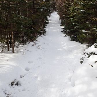 北横への本線に出た。