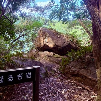 揺ってみても少しも動かない❓