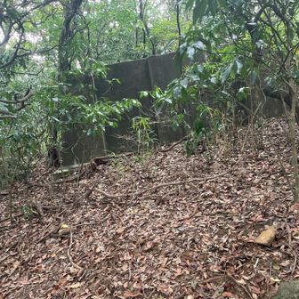 砲台山　貯水設備の跡？