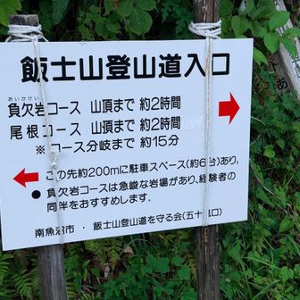 200mほど舗装路を戻って登山口。