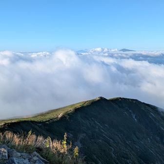 山頂が見えたのは月山✨
ずっと雲の中で、なかなか…チラ見せしかしてくれないもんだから、この時間に山頂に居あわせた人達みんなで1時間以上まったり待ってました🤣