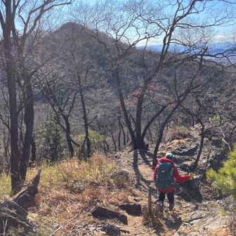 「天狗山」へのオススメ楽なルートの書かれた張り紙があった。で、行きたくなった😅