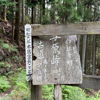 帰りも同じルートで