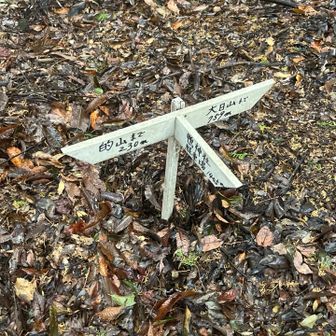 山腹道分岐
破線道もあるはずだが確認できず、廃道か