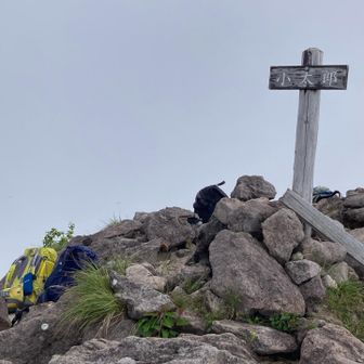 太郎かと思ったら舎弟だった
※ザックが見えるけど
基本的には静かな山
登山者は男体山の１割未満ですって