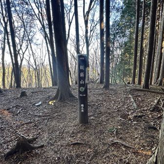 二つ目の飯盛山816.4m。こちらの山が高いが…越生では無いのかな