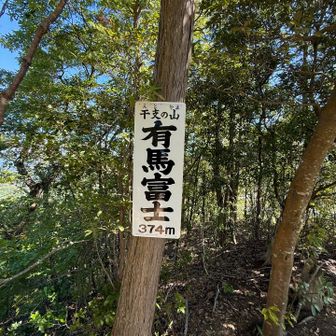 今年限定⁈干支の山プレート☺️
