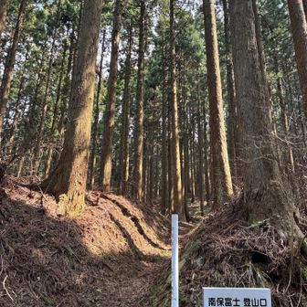 移動して南保富士へ