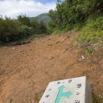目指せ駒ヶ岳