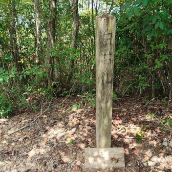 白石山の標柱