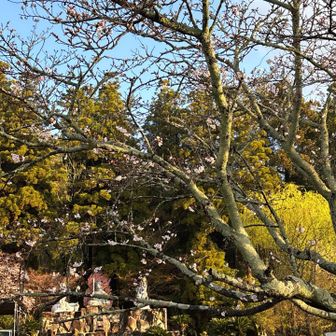 良いのか？！と