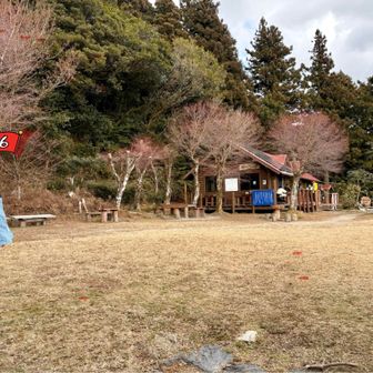 宝満山楞伽院山荘
キャンプ場❣️人いっぱい