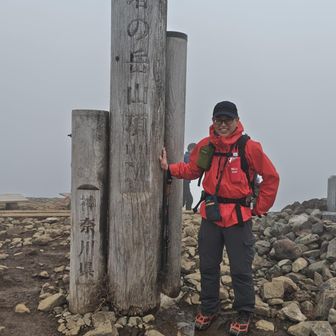 ユーザーねもたけ