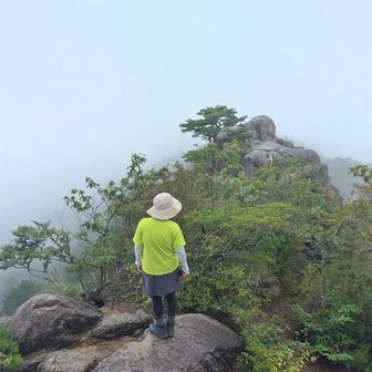 🌫️何も見えず、
リンドウ娘さんだけ。
