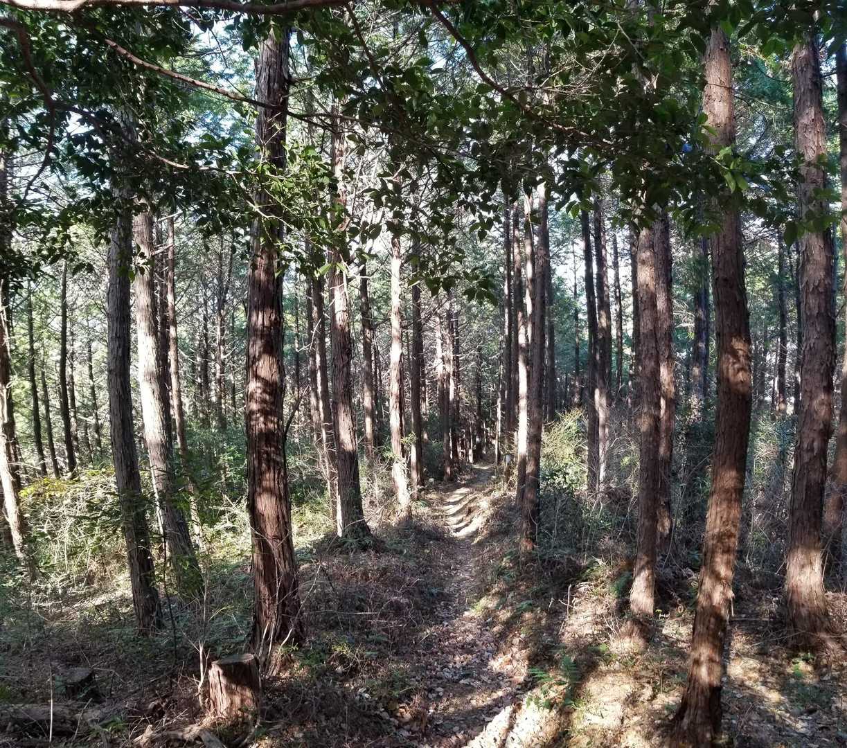 きもちいいー
