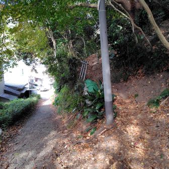 降りてきました～