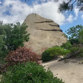 武岳(たけたけ)