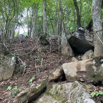 山頂直下はトラロープのだらけの急登。