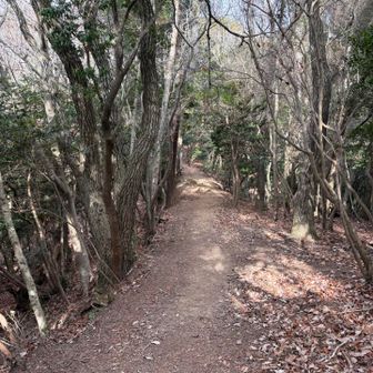 綺麗な登山道