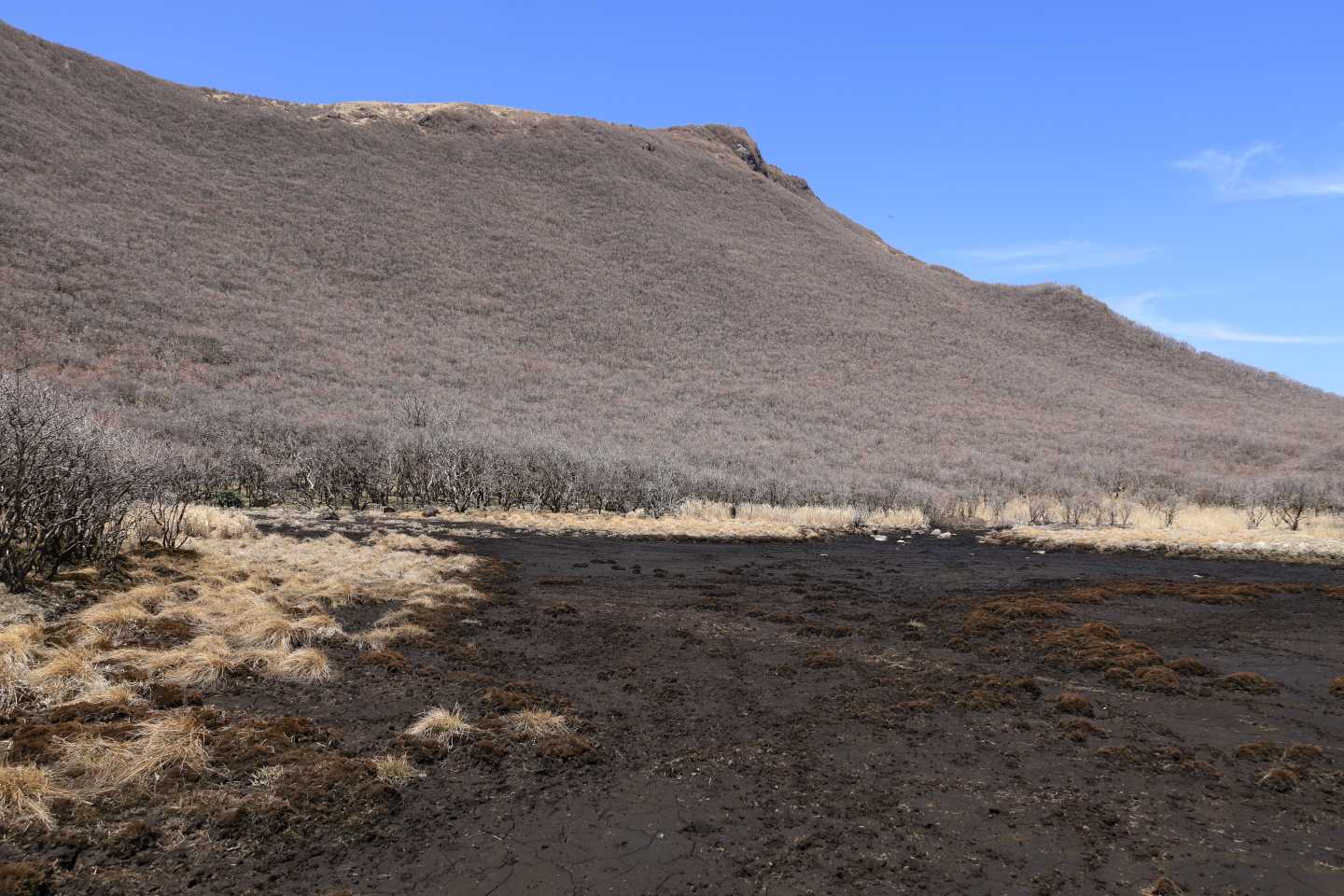 この池のほとりでランチの予定でしたが水が枯れ果てていた