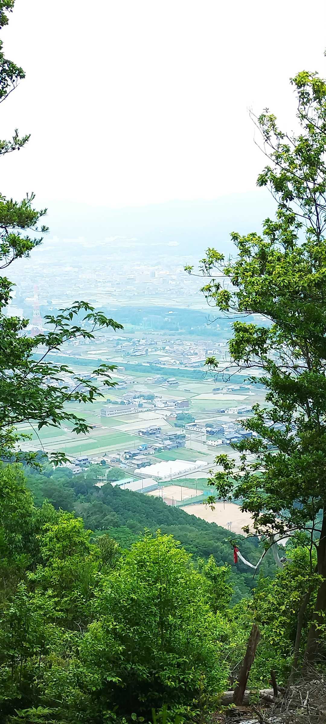 幸せの鐘🔔からの眺望✨