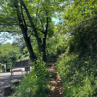 ありがとうございました😊熊の心配も無く歩きやすかったです。『愛宕山神社』は出口手前の右↗️こちらです