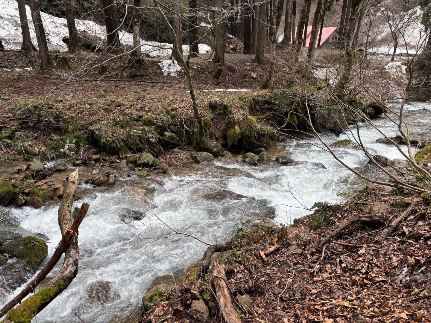 水は相変わらず豊富です✨