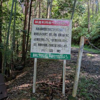 ここから行きます🥾🥾🦯