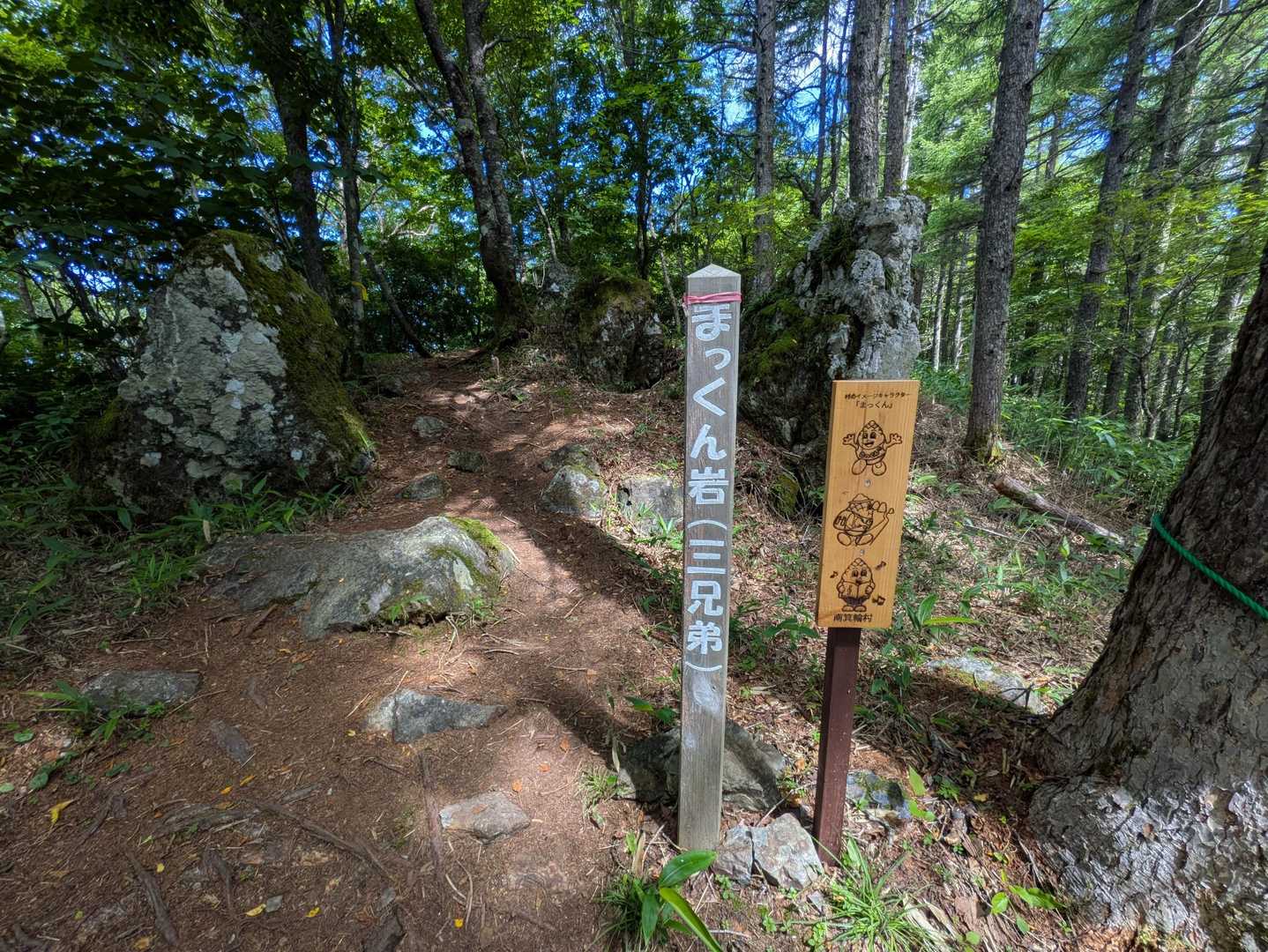 権兵衛峠登山口-北沢山-コイノコ 往復コースの写真