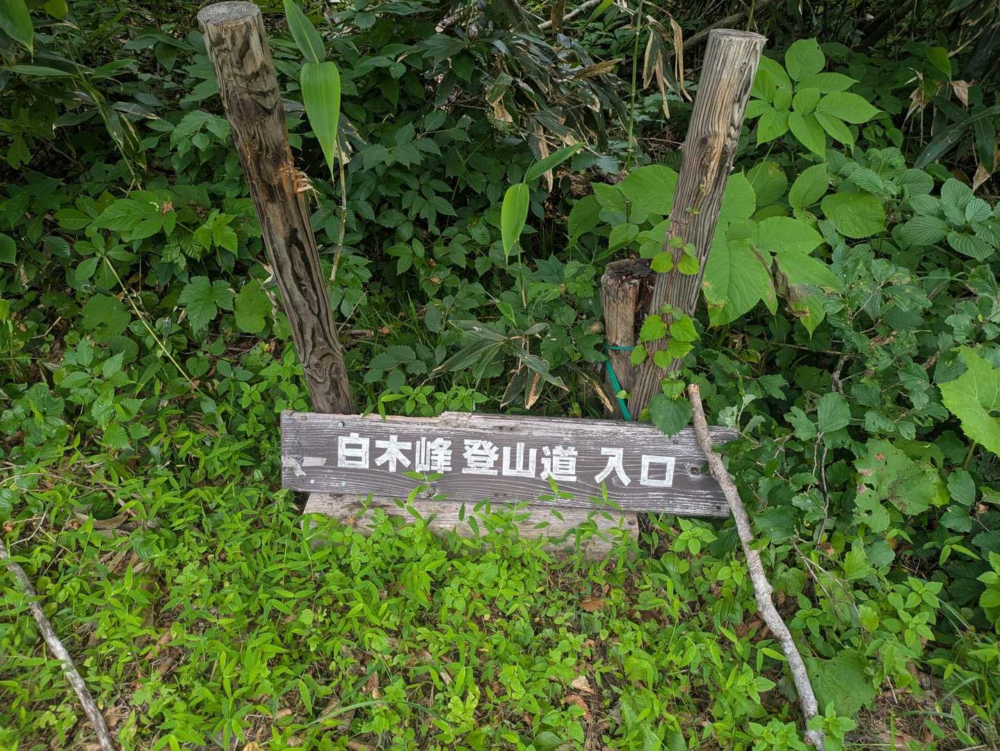 万波ルートでスタート