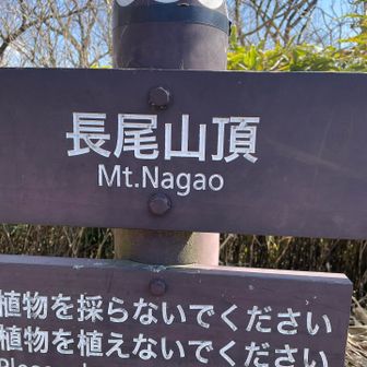 金時山がラストピークじゃない