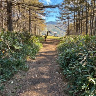 てくてくてく　下山はキャンプ場方面へ🏕️