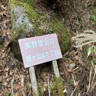 昨日みたいに歩いて３分の山が好き🤣